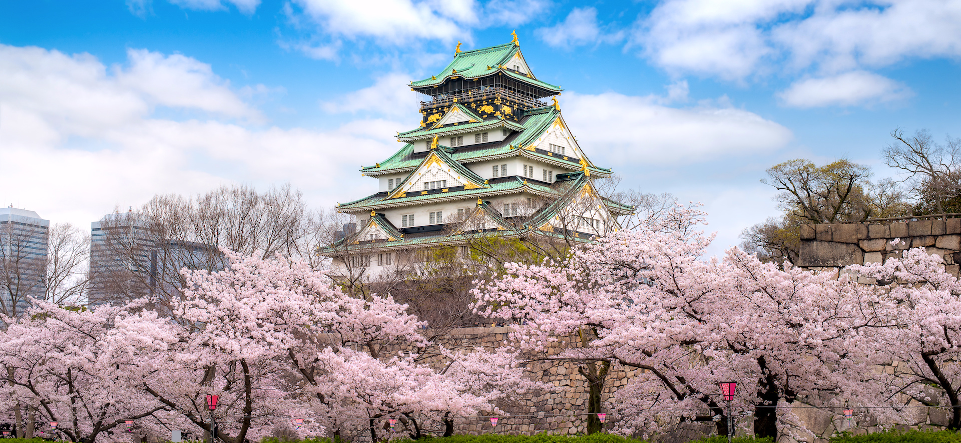 GIAPPONE HANAMI: LA FIORITURA DEI CILIEGI