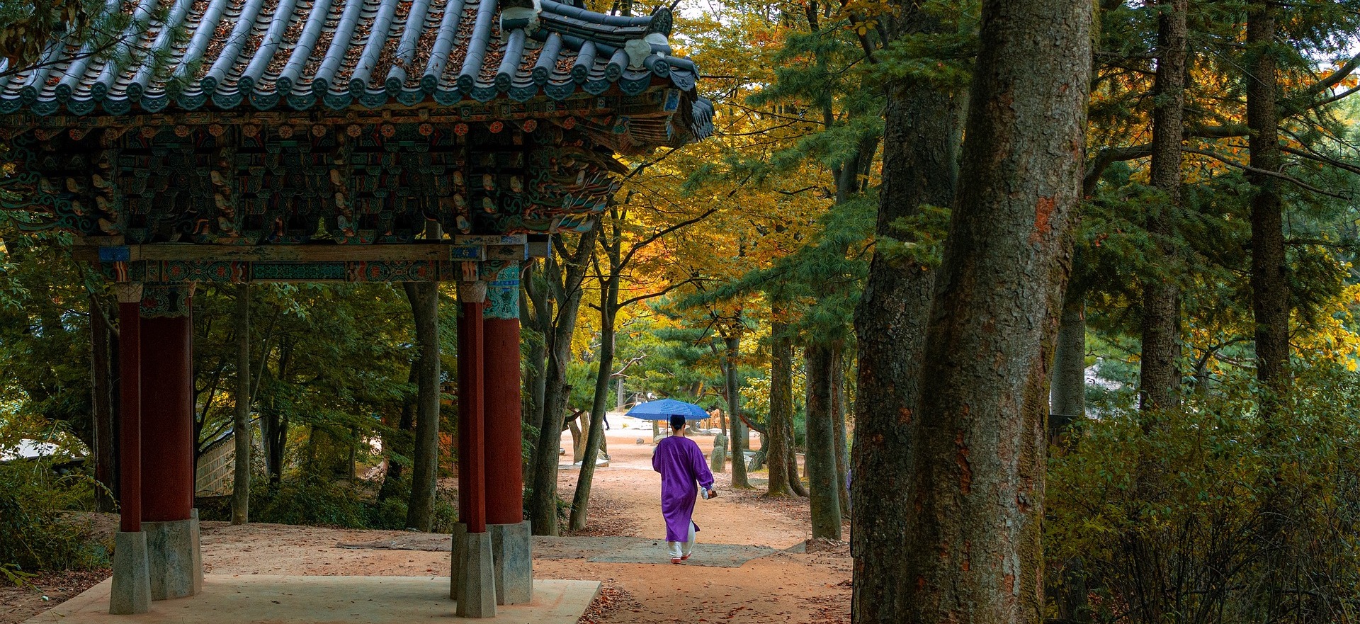 GRAN TOUR DELLA COREA DEL SUD