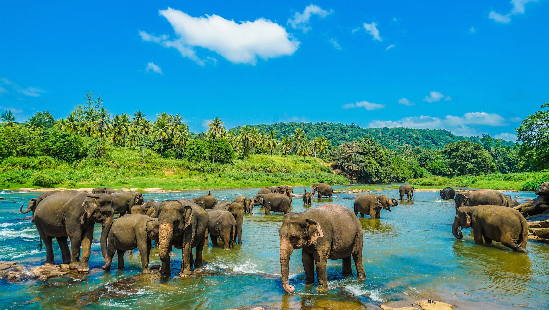 Sri Lanka, l'Isola dei Mille Sorrisi