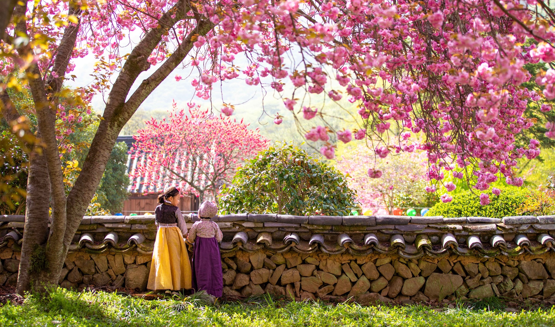PRIMAVERA IN COREA DEL SUD