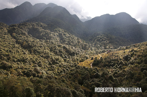 Le montagne intorno a Sapa