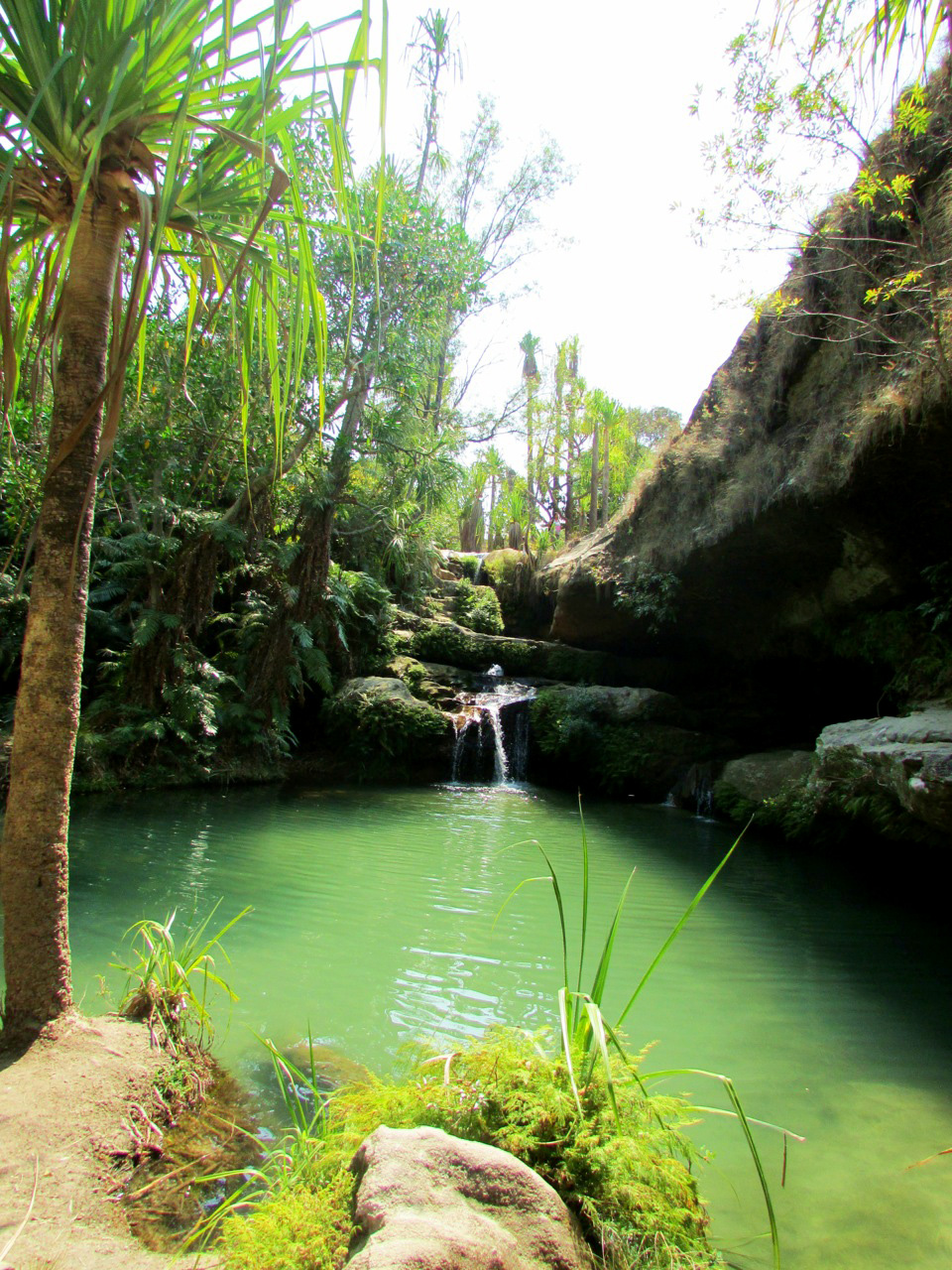 Piscina naturale al Parco dell